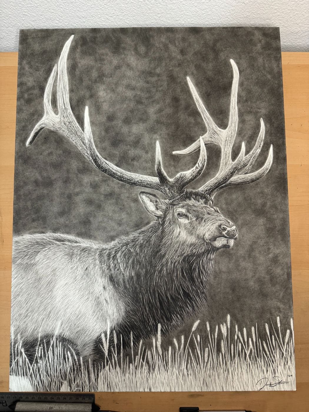 Broadside Elk drawing process stage 5