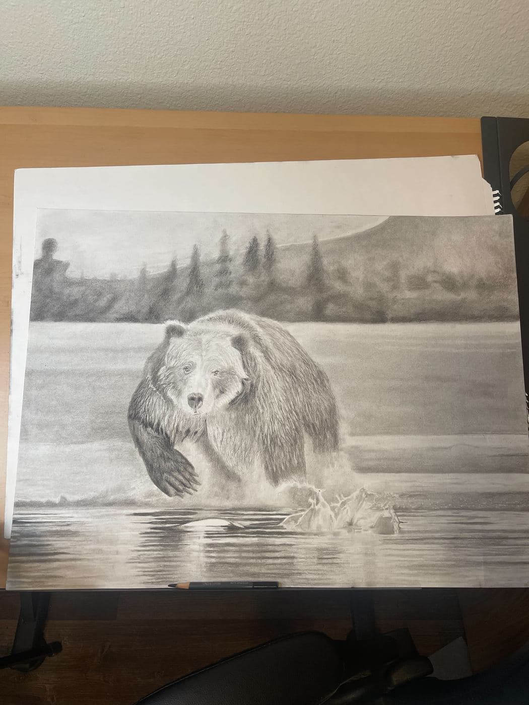 Grizz drawing process stage 3