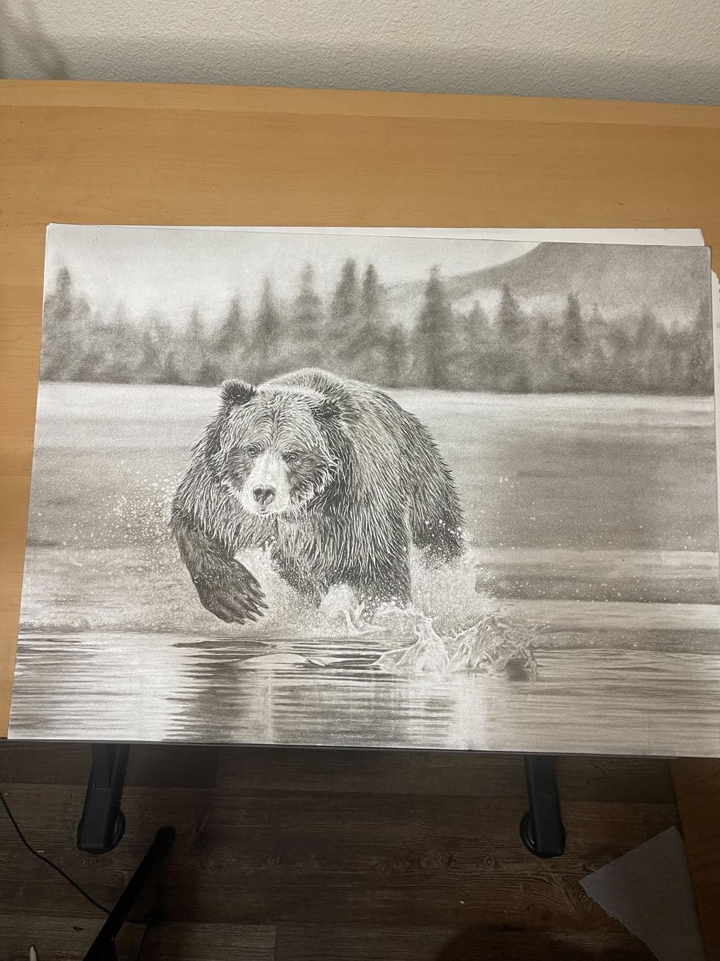Grizz drawing process stage 10