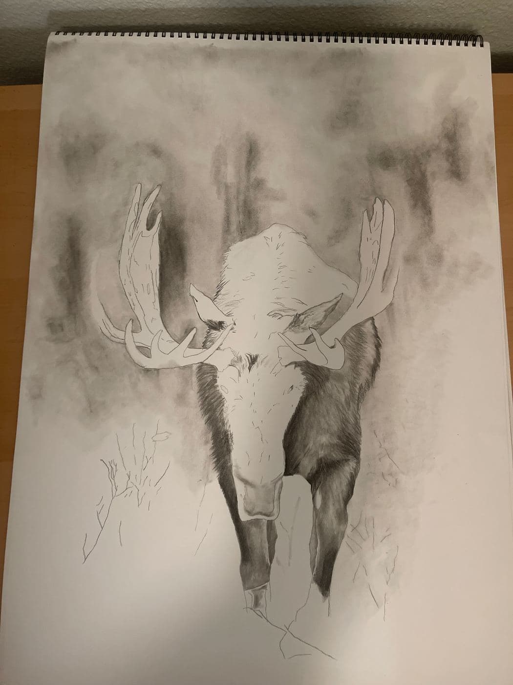 Moose drawing process stage 1