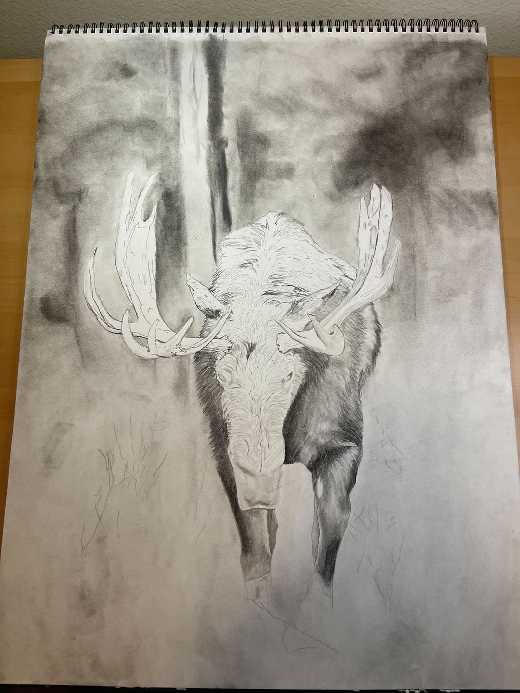 Moose drawing process stage 2