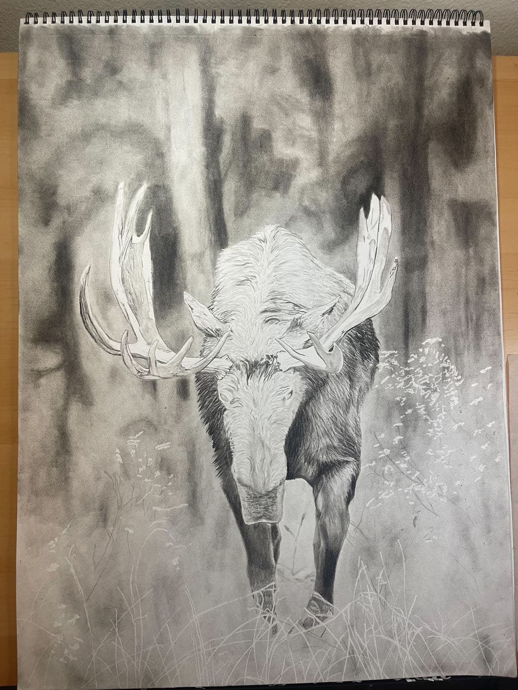 Moose drawing process stage 3