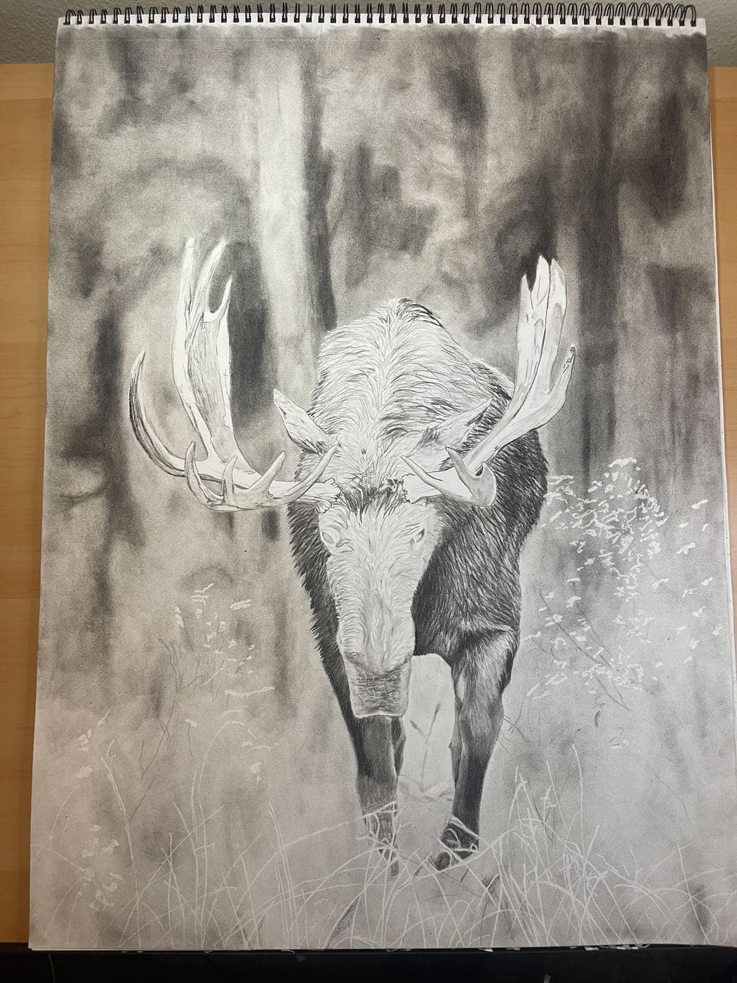 Moose drawing process stage 4