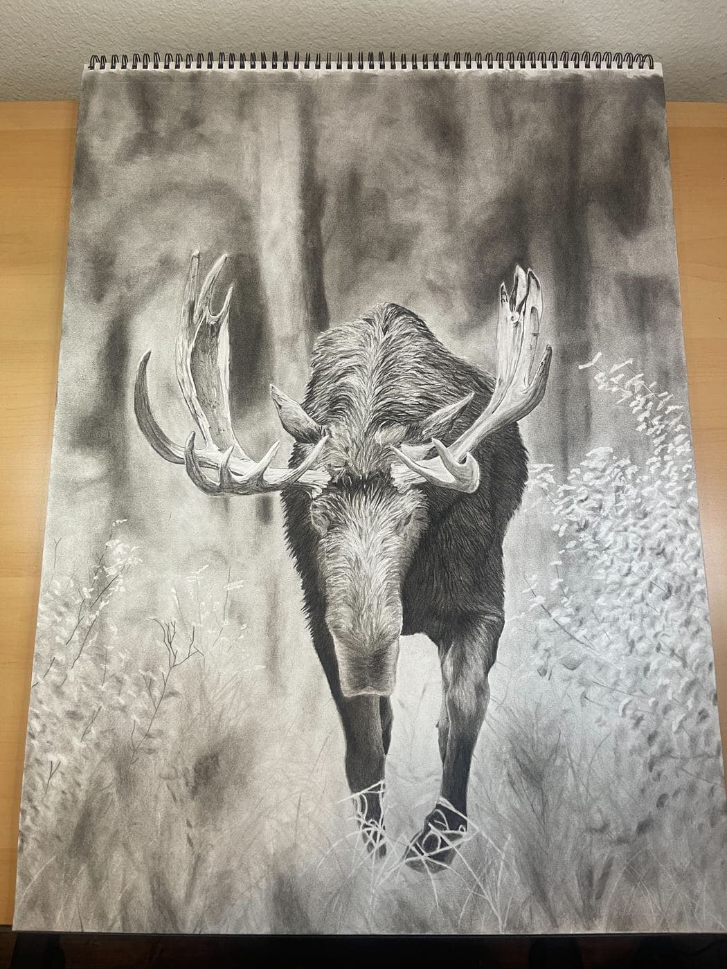 Moose drawing process stage 6