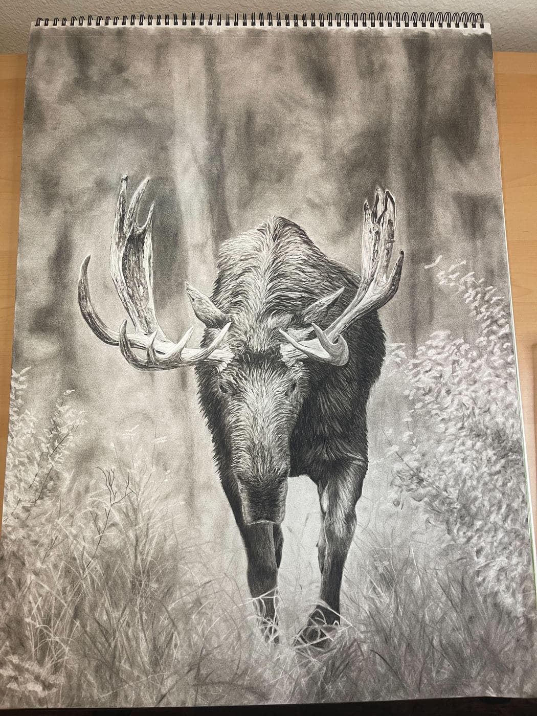 Moose drawing process stage 7