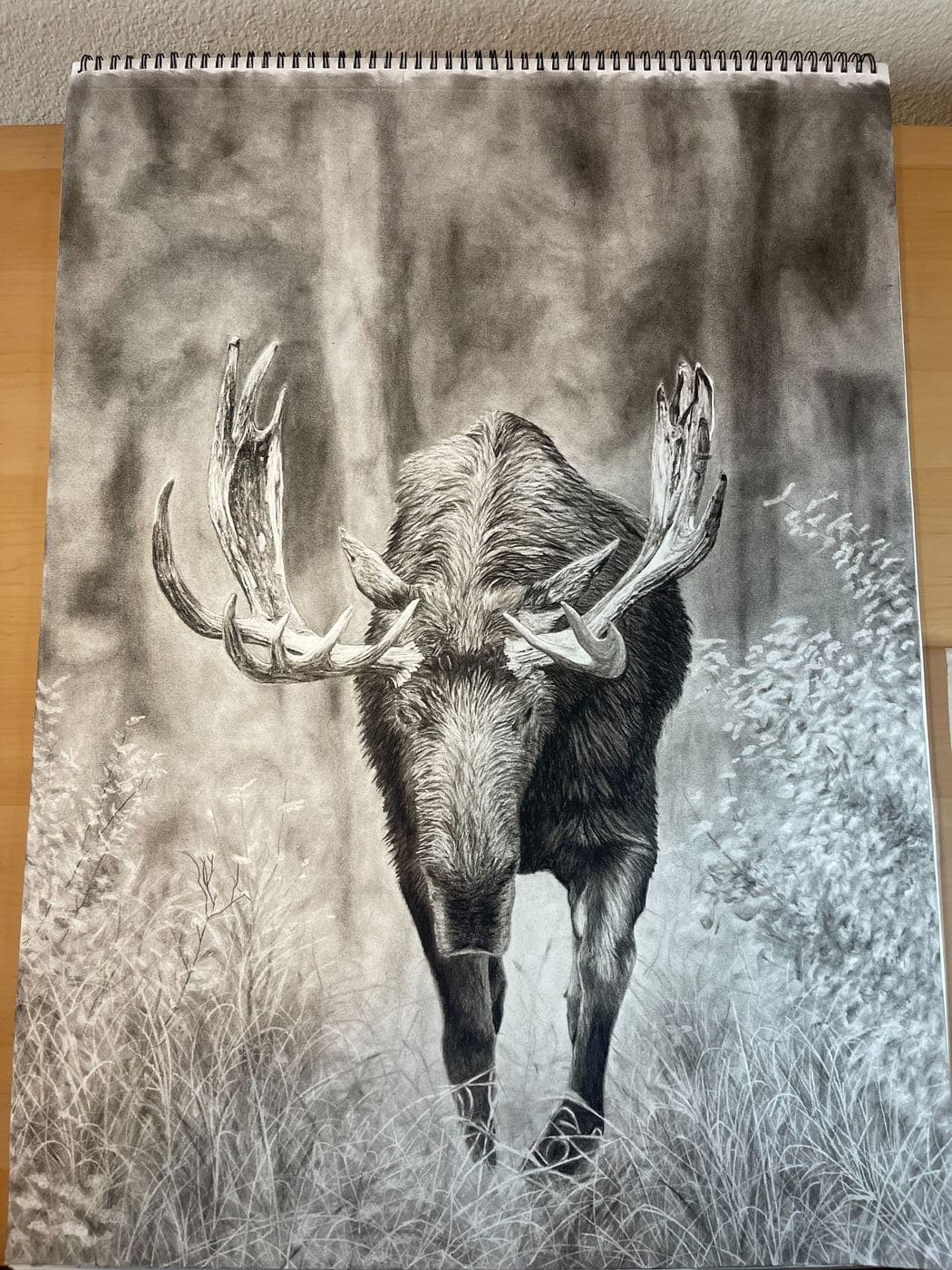 Moose drawing process stage 8